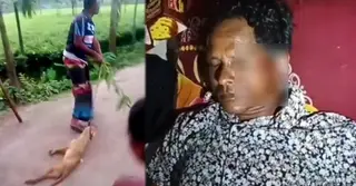 পঞ্চগড়ে শিয়ালের কামড়ে শিশুসহ আহত ৯ জন